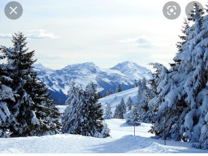 L'Oree Des Bois , Detente Et Calme . Mesigny Exterior foto